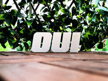 Charger l'image dans la galerie, Décoration lettres du « OUI » - Référendum de 1980