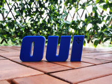 Charger l'image dans la galerie, Décoration lettres du « OUI » - Référendum de 1980