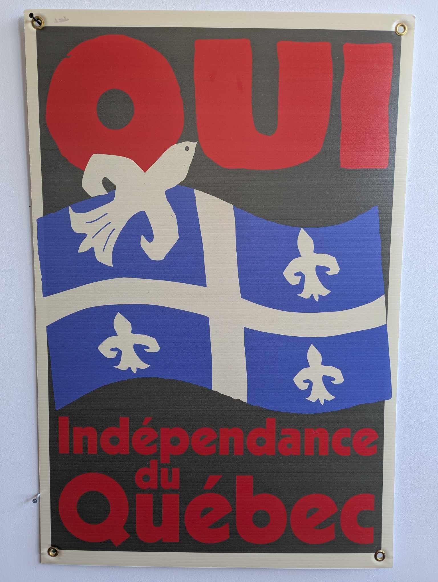 Quebec Independence Rally Affiche OUI à l'indépendance du Québec – 50 POUR CENT +1